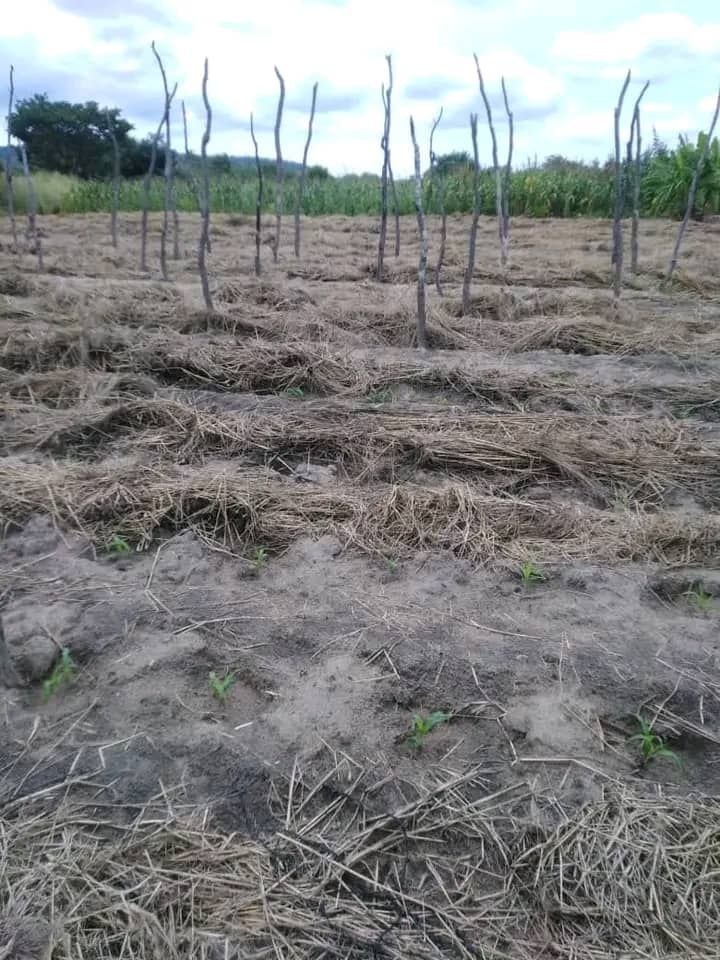 Litumba Enterprises