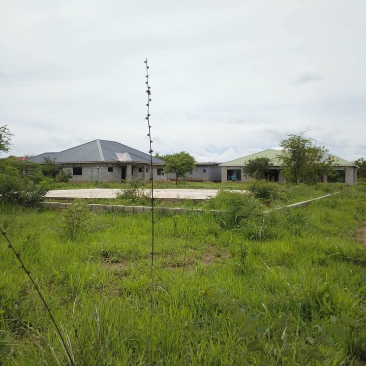 Litumba Enterprises