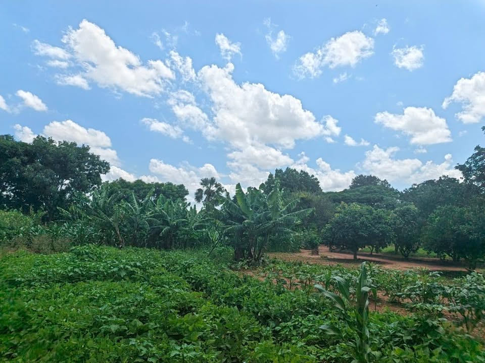 Litumba Enterprises