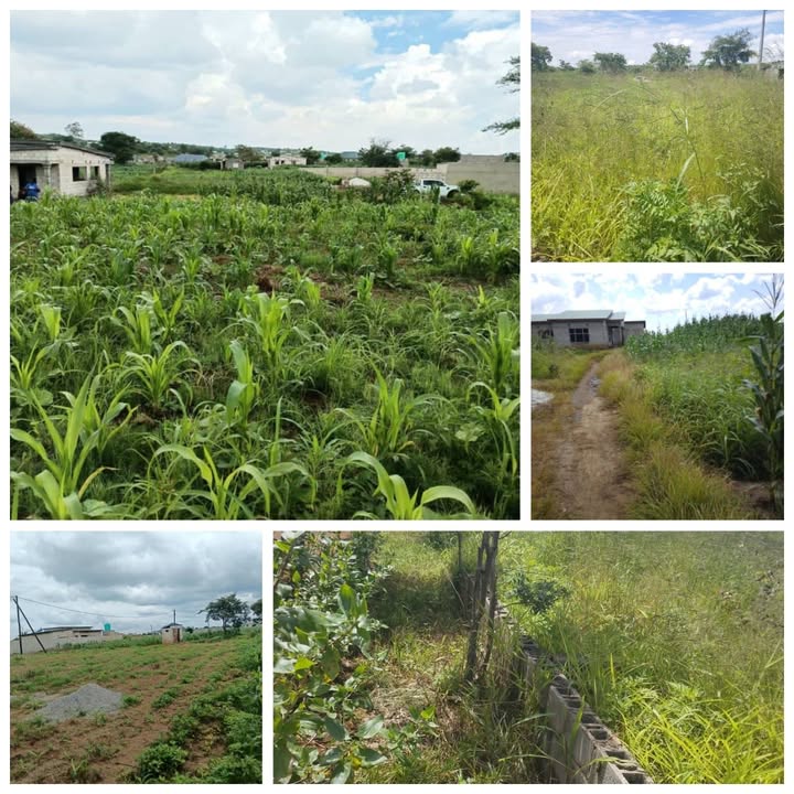 Litumba Enterprises