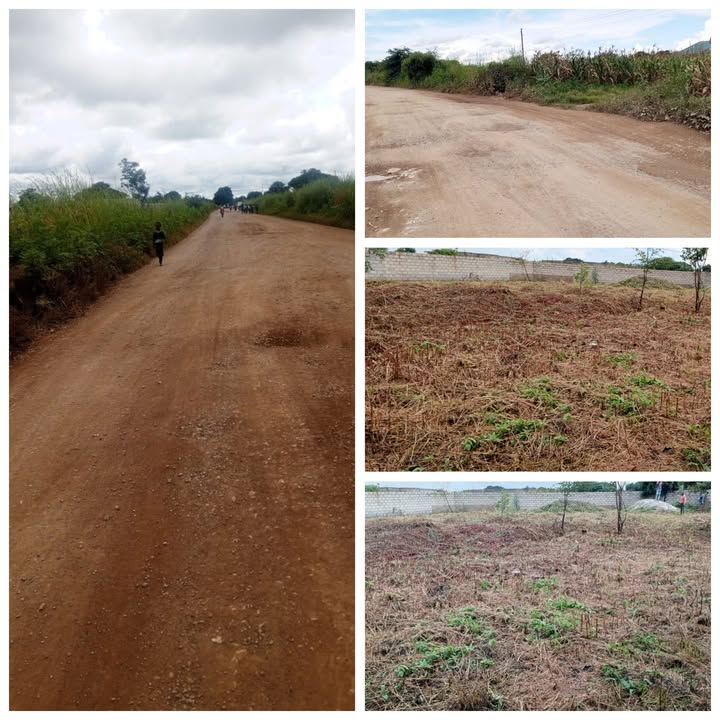 Litumba Enterprises